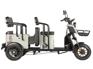 Электротрицикл Wanshida LC300 60V 1000Вт (зеленый)