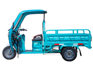 Электротрицикл Rutrike Глобус NEXT 1500 60V1200W