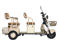 Электротрицикл Rutrike Gelbert Atlas 48V/60V 600Вт (зеленый)