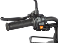 Электротрицикл Wanshida LC300 60V 1000Вт (зеленый)
