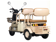 Электротрицикл Rutrike Gelbert Atlas 48V/60V 600Вт (зеленый)