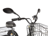 Электровелосипед GREEN CITY e-ALFA Trike (серебристый)