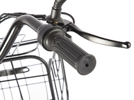 Электровелосипед GREEN CITY e-ALFA Trike (серебристый)