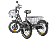 Электровелосипед GREEN CITY e-ALFA Trike (серебристый)