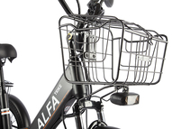 Электровелосипед GREEN CITY e-ALFA Trike (серебристый)